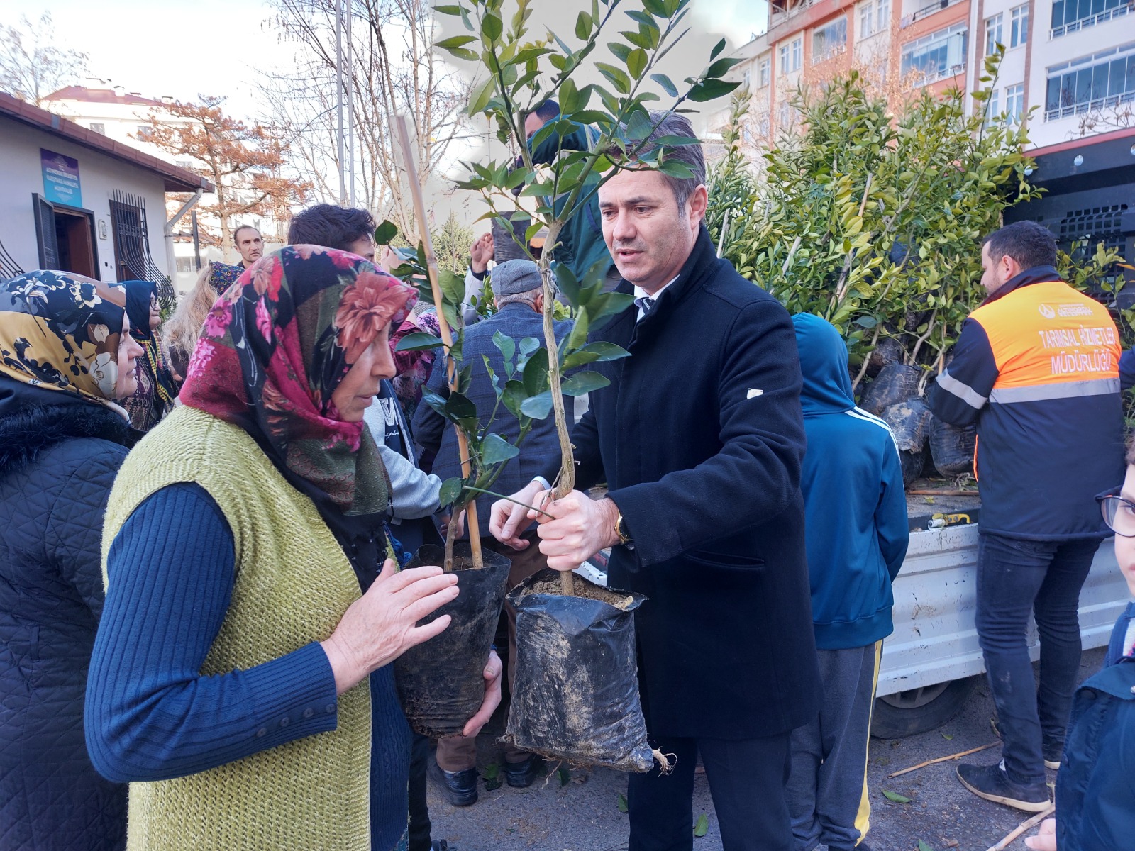 ALTINORDU BELEDİYESİ 341 BİN FİDANI TOPRAKLA BULUŞTURDU