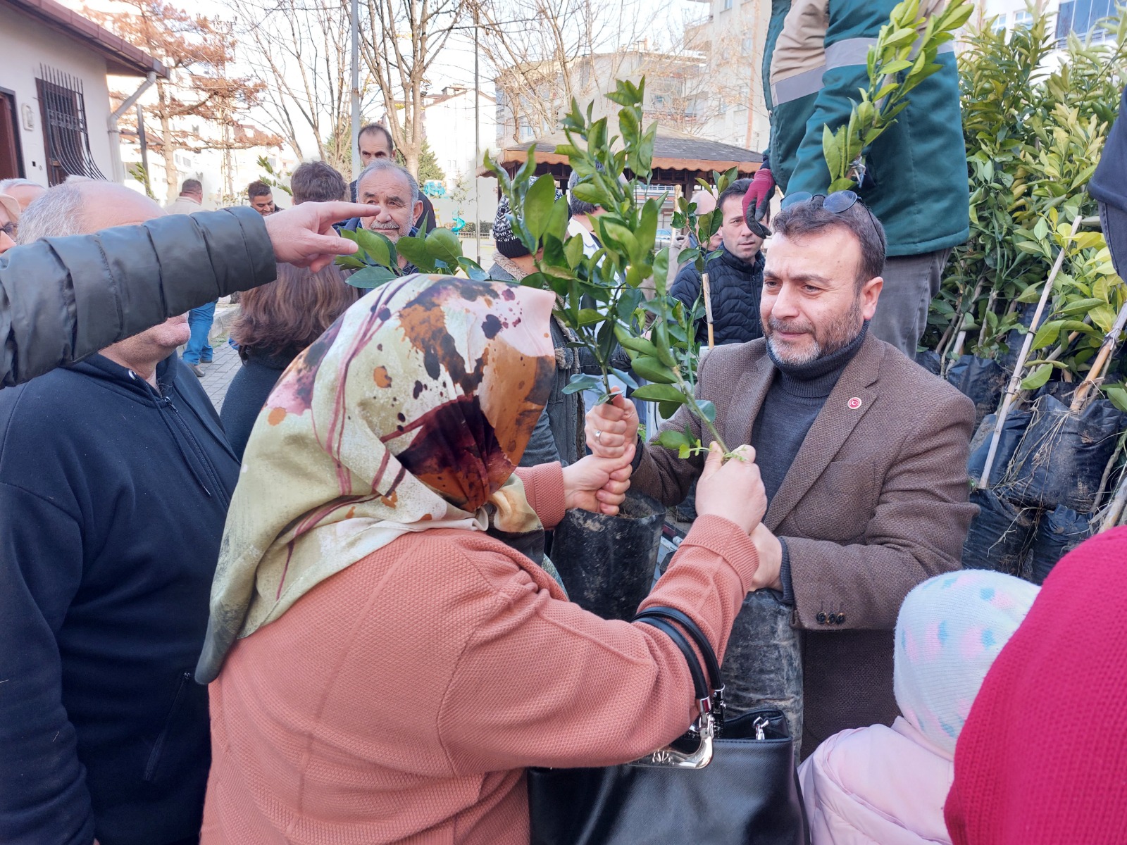 ALTINORDU BELEDİYESİ 341 BİN FİDANI TOPRAKLA BULUŞTURDU