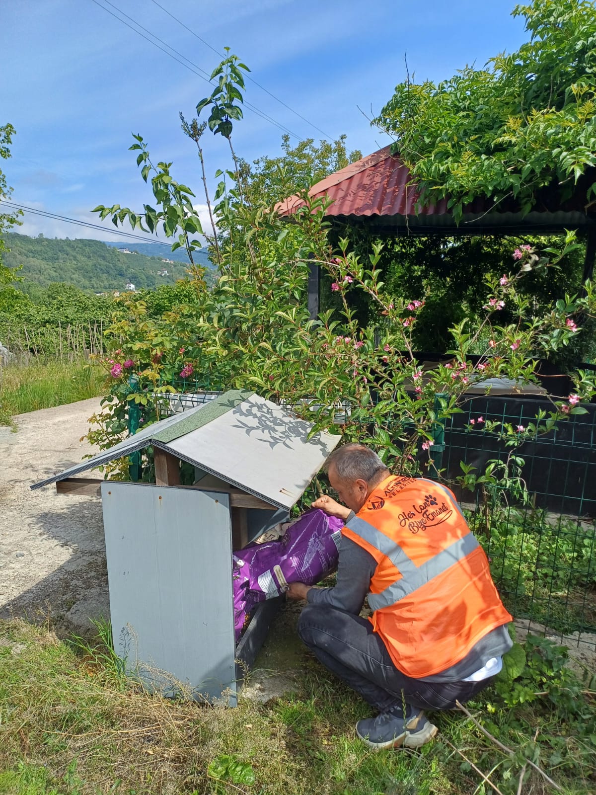 ALTINORDU BELEDİYESİ CAN DOSTLARIMIZI İHMAL ETMİYOR