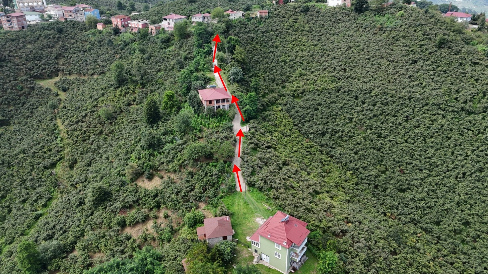 FİTNET TEYZENİN YOL HASRETİ SONA ERDİ