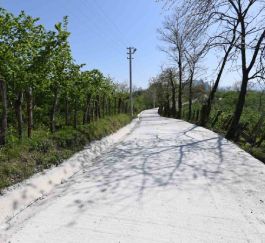 PROJE FOTOĞRAF