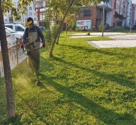 PROJE FOTOĞRAF