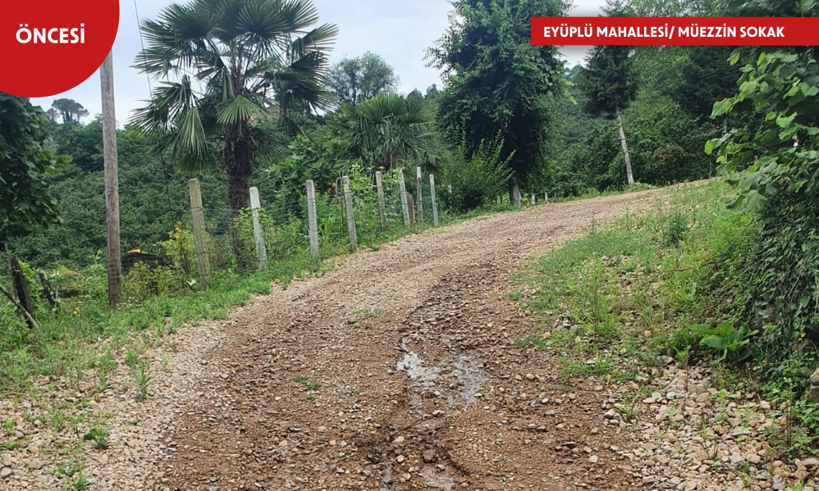 ALTINORDU’DA KIRSAL YOLLAR KONFORA KAVUŞUYOR